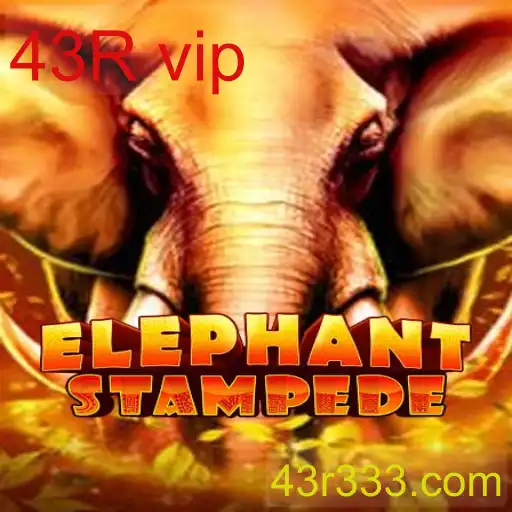 ElephantStampede